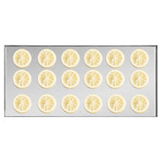 VEVOR Vacuum Freeze Dryer 4-Layer Fruit Vegetable Freeze Drying Machine W/ Pump