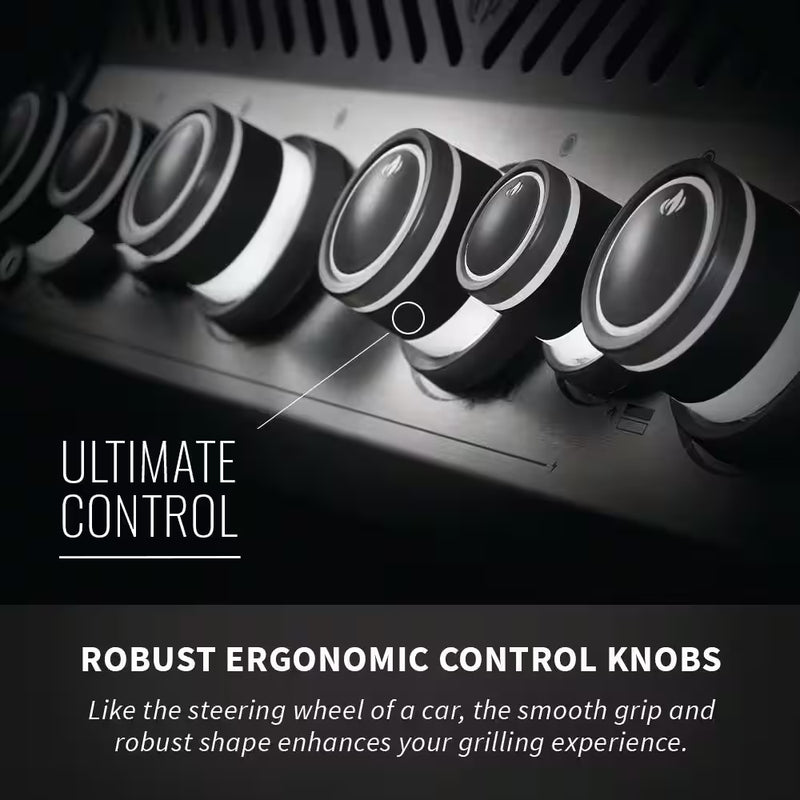 Rogue 4-Burner Propane Gas Grill in Stainless Steel with Infrared Rear and Side Burners