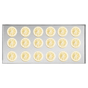 Vacuum Freeze Dryer 4-Layer Fruit Vegetable Freeze Drying Machine W/ Pump Black